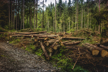 “LICENCIAMENTO AMBIENTAL: ESSENCIAL PARA EMPRESAS COMPROMETIDAS COM O MEIO AMBIENTE”.